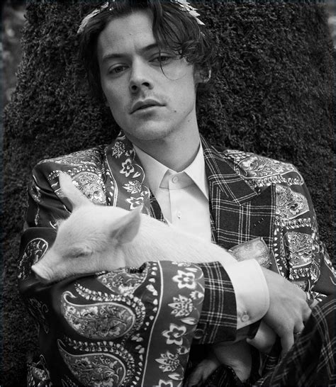 harry styles for gucci cruise 2019|Harry Styles .